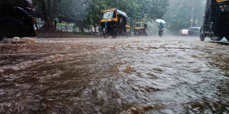 अगले 7 दिन मचेगा बारिश का कोहराम, IMD ने कई राज्यों में दी रेड अलर्ट की चेतावनी