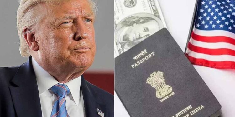 ट्रंप सरकार की सख्ती: 5.5 करोड़ वीजा होल्डर्स पर नजर, नियम तोड़ने पर होगा कैंसिल