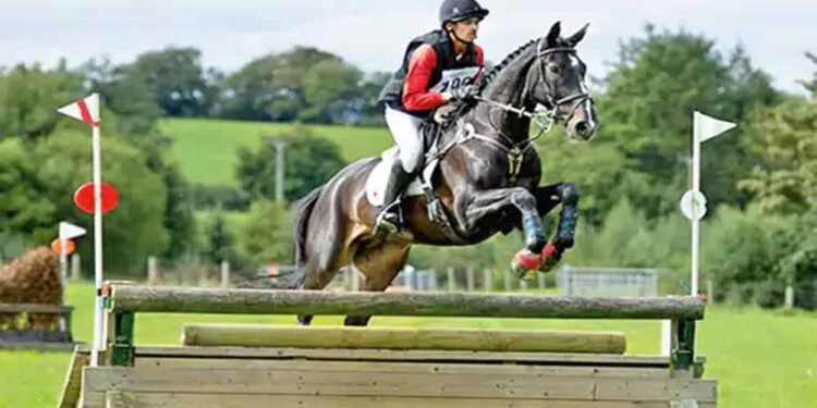 देश का नंबर 1 घोड़ा भोपाल में, 12 साल में 27 मेडल जीतकर बना चैंपियन