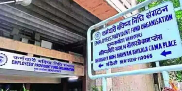 एक कॉल में पता करें PF बैलेंस, ये दो नंबर रख लें अपने पास!