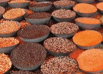 भारत के टॉप दाल उत्पादक राज्यों की लिस्ट: UP 5वें नंबर पर, जानें नंबर 1 और 2