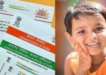 विद्यार्थियों की अनिवार्य बायोमेट्रिक अपडेट स्थिति अब UDISE+ पोर्टल में स्कूल प्राचार्यों के लिए उपलब्ध