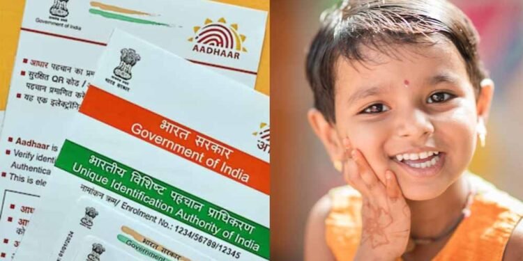 विद्यार्थियों की अनिवार्य बायोमेट्रिक अपडेट स्थिति अब UDISE+ पोर्टल में स्कूल प्राचार्यों के लिए उपलब्ध