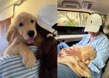 तृप्ति डिमरी के घर गूँजी किलकारियाँ? एक्ट्रेस ने शेयर किया नया पोस्ट