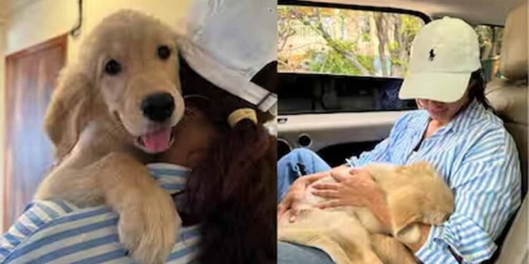 तृप्ति डिमरी के घर गूँजी किलकारियाँ? एक्ट्रेस ने शेयर किया नया पोस्ट