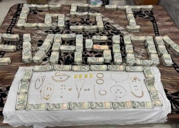 रायपुर : करोड़ों रूपए की जीएसटी चोरी का खुलासा: 170 से अधिक बोगस फर्म बनाकर की जीएसटी चोरी