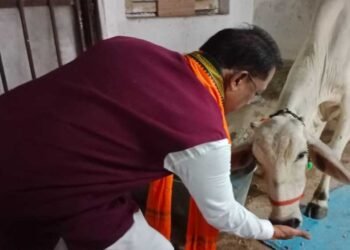 रायपुर : गौ-सेवा से ही मिलती है सच्ची शांति और ऊर्जा : मुख्यमंत्री विष्णु देव साय