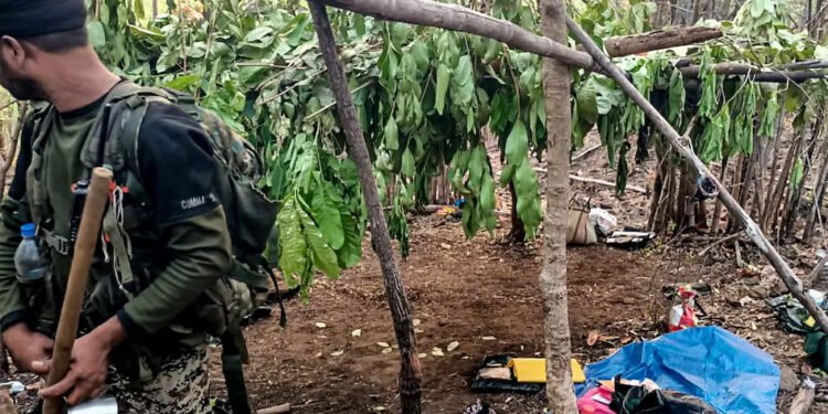 बीजापुर-कांकेर बॉर्डर पर मुठभेड़, 4 नक्सली ढेर — दो महिला माओवादी भी शामिल, हथियार बरामद