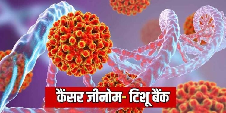 IIT मद्रास का बड़ा कदम: कैंसर जीनोम और टिशू बैंक से बदल सकता है इलाज का तरीका