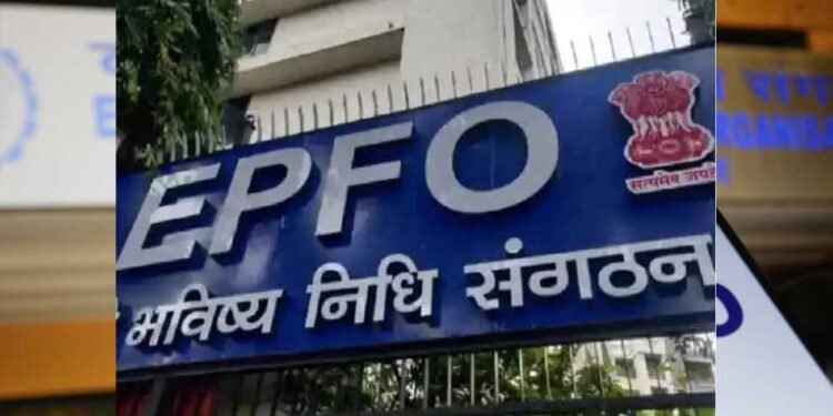 EPFO का नया तोहफा: अब चंद क्लिक में मिलेगी PF डिटेल्स की पूरी जानकारी