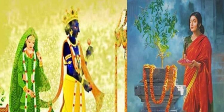 तुलसी विवाह 2025: जानें तिथि, शुभ मुहूर्त और पूजा विधि
