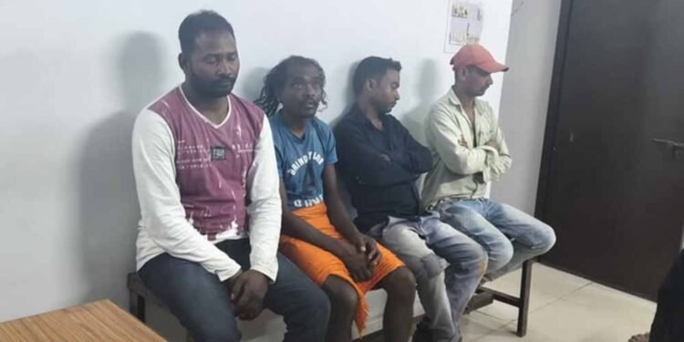 कोरबा में गोवंश तस्करी का पर्दाफाश: आरोपी गिरफ्तार, सात बैल बरामद