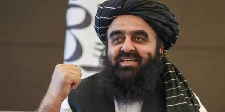 तालिबान का दावा: NATO और अमेरिका के दौर में पला ISIS, हमने आते ही किया ख़त्म