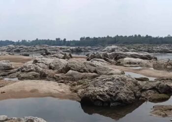 गायखुरी पत्थर की रंगोली: एक ऐसा इतिहास जो समय को थामकर रह गया!