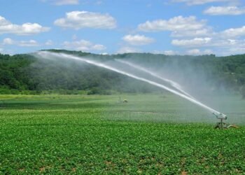 रायपुर : दो सिंचाई परियोजनाओं के कार्यों के लिए 7.36 करोड़ रूपए स्वीकृत