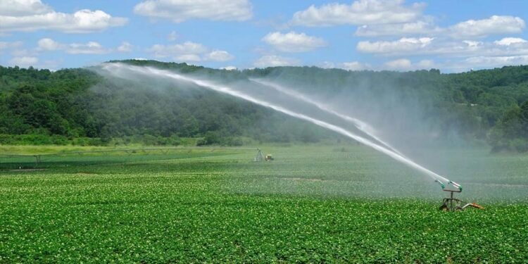 रायपुर : दो सिंचाई परियोजनाओं के कार्यों के लिए 7.36 करोड़ रूपए स्वीकृत