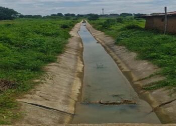 रायपुर : सिंचाई रकबे में उल्लेखनीय बढ़ोतरी, 40 हजार से अधिक किसान ले रहे लाभ