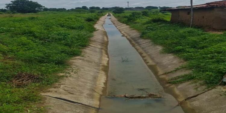 रायपुर : सिंचाई रकबे में उल्लेखनीय बढ़ोतरी, 40 हजार से अधिक किसान ले रहे लाभ