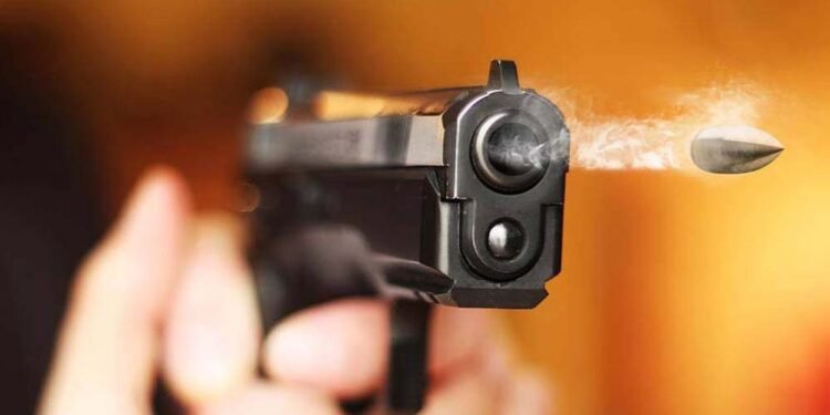 मध्य प्रदेश में हथियार लाइसेंस का नवीनीकरण अब ELIS पर अनिवार्य, बिना UIN नंबर आवेदन नहीं होगा मान्य