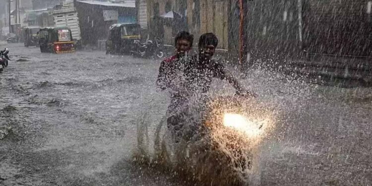 मध्य प्रदेश में मोंथा का असर: 10 जिलों में बारिश का अलर्ट, तापमान गिरेगा 8 डिग्री तक