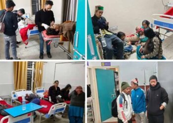 नारकंडा हादसा: खाई में गिरी टेंपो ट्रैवलर, 29 लोग घायल, 16 शिमला IGMC रेफर