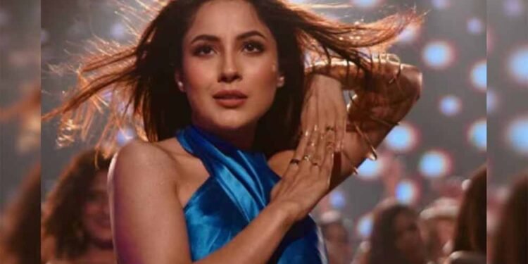 ‘इक्क कुड़ी’ मेरे लिए सिर्फ फिल्म नहीं, बल्कि एक भावना: शहनाज गिल