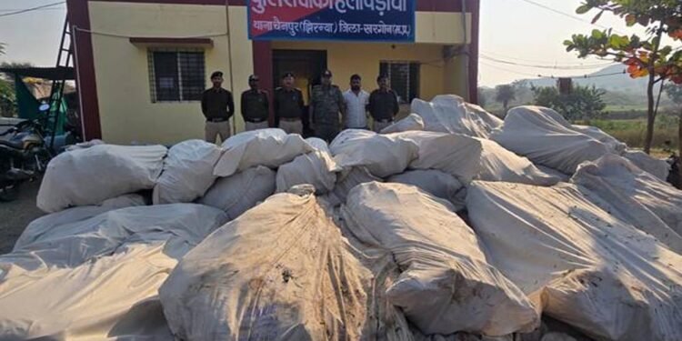 नशे के विरूद्ध खरगोन पुलिस की अब तक की सबसे बड़ी कार्रवाई पहाड़ी क्षेत्र में अवैध गांजा की खेती का भंडाफोड़