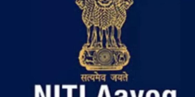 नीति आयोग का सुझाव: बात-बात पर लाइसेंस और निरीक्षण राज को खत्म किया जाए