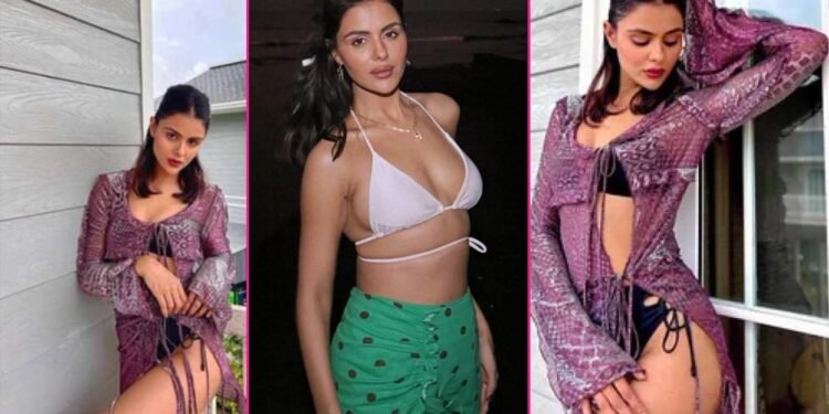 प्रियंका चाहर चौधरी बनेंगी नई ‘नागिन’, 2016 का यादगार पल याद किया