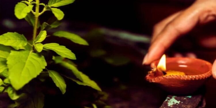 शाम को तुलसी के पास दीया जलाना क्यों माना जाता है शुभ? जानें फायदे