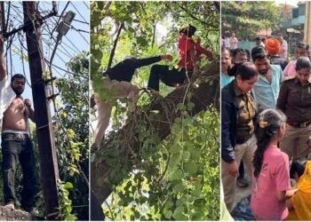 MP News: इंदौर में अवैध मकान हटाने पर युवक ने पकड़ा बिजली का तार, युवती पेड़ पर चढ़ी