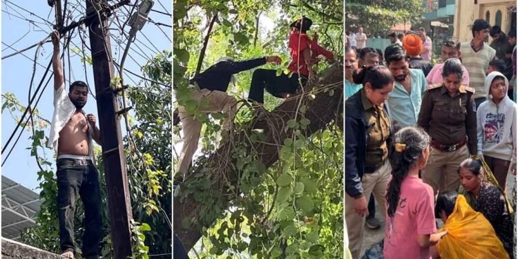 MP News: इंदौर में अवैध मकान हटाने पर युवक ने पकड़ा बिजली का तार, युवती पेड़ पर चढ़ी