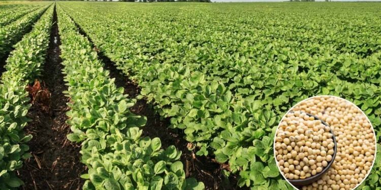 भावांतर योजना को गति देने मंडी बोर्ड लेगा 1,500 करोड़ का कर्ज