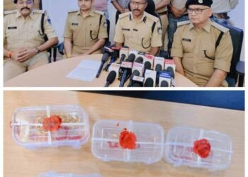 चेन व मोबाइल स्नैचिंग पर प्रभावी अंकुश, शांति व्यवस्था बनाए रखने में मध्यप्रदेश पुलिस की सक्रिय भूमिका