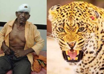 ग्रामीण पर तेंदुए का हमला, जंगल से नीम की पत्तियां लेने गया था