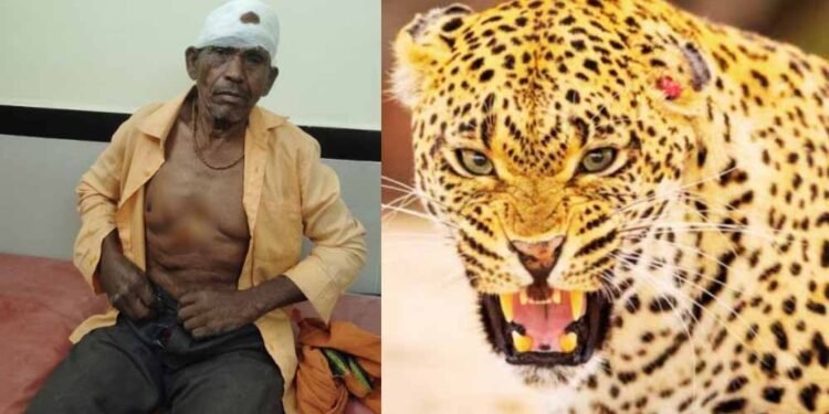 ग्रामीण पर तेंदुए का हमला, जंगल से नीम की पत्तियां लेने गया था