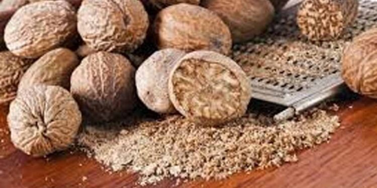 लोन की टेंशन दूर! जानें जायफल से धन खुलने का असरदार उपाय