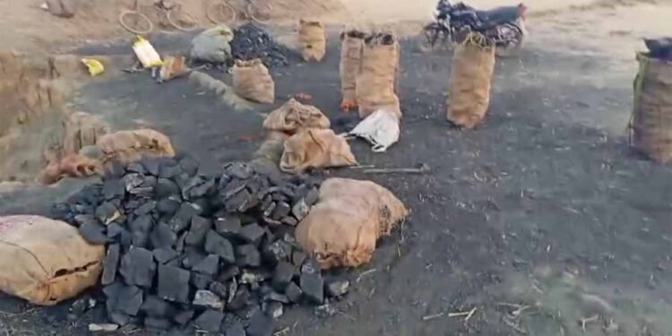 पुलिस का अवैध कोयला कारोबार पर वार, 3 टन कोयला जब्त