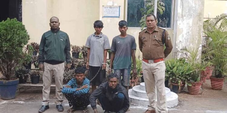 जंगली सुअर के शिकार में खुद ही बन गए शिकार, झाड़ियों में छिपाए शव