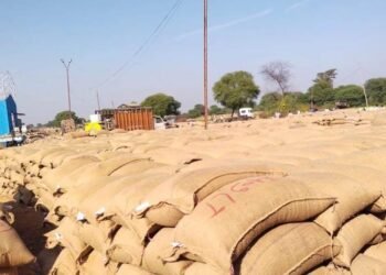 महासमुंद : धान खरीदी केंद्रों में अव्यवस्था पर तीन प्राधिकृत अधिकारी पद से पृथक