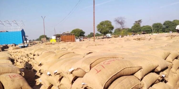 महासमुंद : धान खरीदी केंद्रों में अव्यवस्था पर तीन प्राधिकृत अधिकारी पद से पृथक