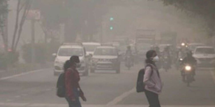 एमपी में ठंड का कहर: 14 जिलों में घने कोहरे का अलर्ट, मालवा एक्सप्रेस 4 घंटे लेट