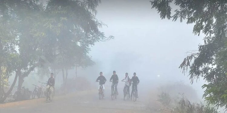 MP में कड़ाके की ठंड, पचमढ़ी में पारा 4.2°C पर, 25 शहरों में तापमान 10°C से नीचे; कई जिलों में घना कोहरा