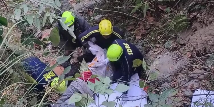 उत्तराखंड में शादी से लौट रहे परिवार की गाड़ी खाई में गिरी, 5 बारातियों की दर्दनाक मौत