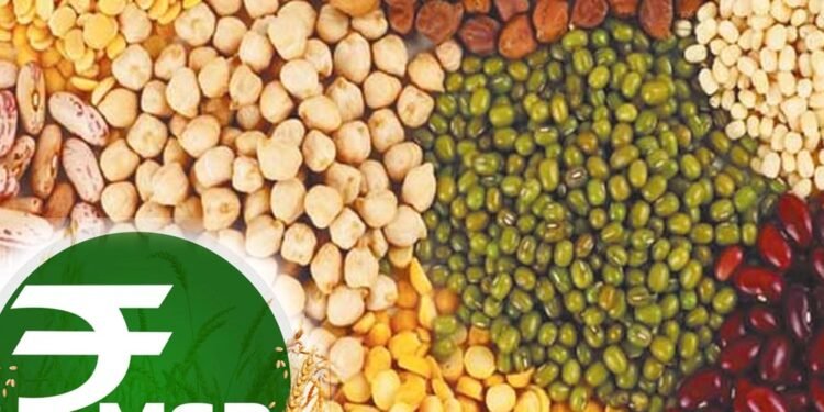 किसानों को बड़ा तोहफा: सरकार करेगी दलहन की 100% खरीद, MSP पर केंद्र ने दिया अपडेट