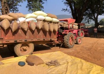 रायपुर : उपार्जन केंद्रों में धान खरीदी सुचारू रूप से जारी
