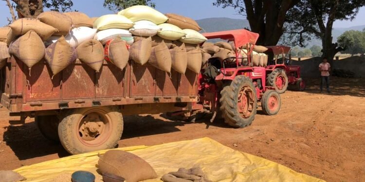 रायपुर : उपार्जन केंद्रों में धान खरीदी सुचारू रूप से जारी