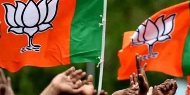 महाराष्ट्र निकाय चुनाव में BJP का जलवा, शिवसेना-NCP के साथ 200+ सीटों पर बढ़त; मतगणना जारी