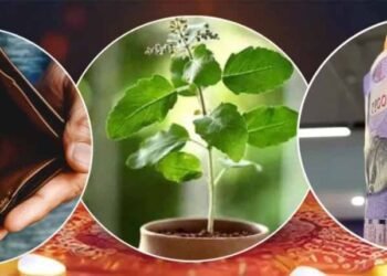 नया साल, नई किस्मत: बस करें ये उपाय और जीवन में भर जाएंगी खुशियाँ