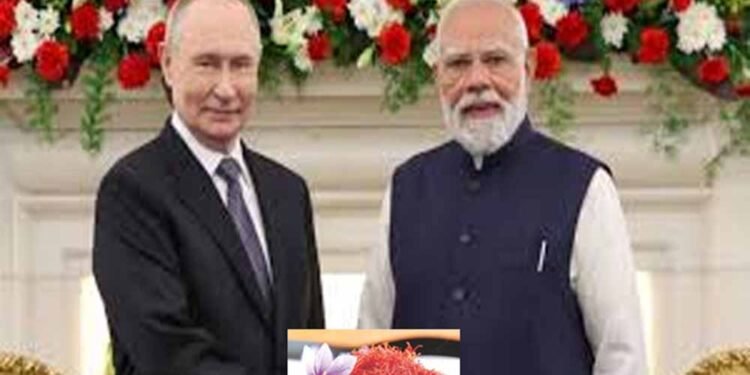 पीएम मोदी का पुतिन को तोहफा बना खास संदेश, कश्मीरी केसर से चमकी जम्मू-कश्मीर के किसानों की उम्मीद